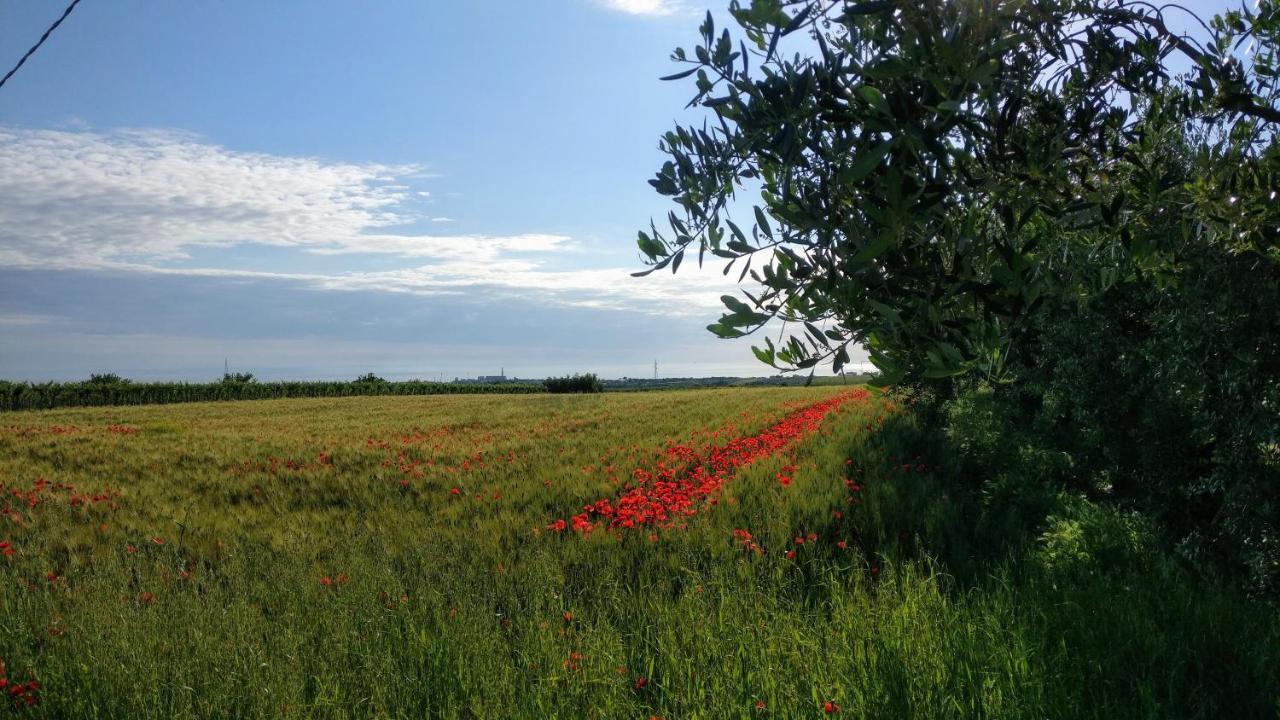 Punta Aderci Rooms Васто Екстер'єр фото